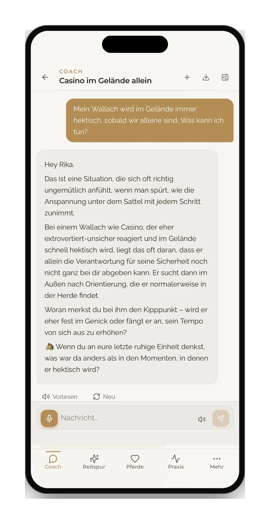 Reitspur Coach — Antworten, die euch kennen